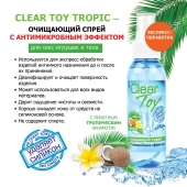 Очищающий спрей для игрушек CLEAR TOY Tropic - 100 мл. - Биоритм - купить с доставкой в Твери