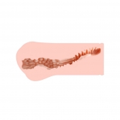 Мастурбатор-вагина Monica без вибрации - KOKOS - в Твери купить с доставкой