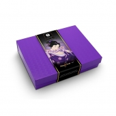 Подарочный набор Naughter Kit - Shunga - купить с доставкой в Твери