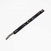 Черный кожаный ошейник с золотистой фурнитурой - Crazy Handmade - купить с доставкой в Твери