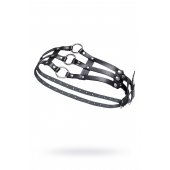 Черный кожаный пояс с кольцами - Pecado - купить с доставкой в Твери