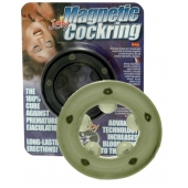 Эрекционное кольцо с магнитиками - Seven Creations - в Твери купить с доставкой