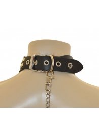 Ошейник  Веселый Роджер - Sitabella - купить с доставкой в Твери