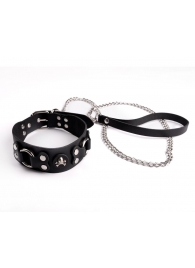 Ошейник  Веселый Роджер - Sitabella - купить с доставкой в Твери