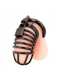 Черная металлическая клетка с замком Deluxe Chastity Cage - BlueLine - купить с доставкой в Твери