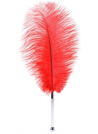 Красное страусовое пёрышко - ToyFa - купить с доставкой в Твери