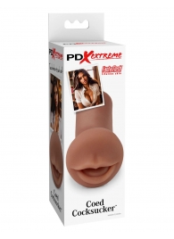 Мастурбатор-ротик Coed Cocksucker - Pipedream - в Твери купить с доставкой