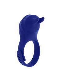 Синее эрекционное виброкольцо с клиторальной подушечкой и пультом ДУ Adjustable Fun Ring - Zero Tolerance - в Твери купить с доставкой