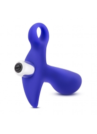 Синий стимулятор простаты с ручкой-кольцом Performance Prostimulator 02 - Blush Novelties - в Твери купить с доставкой