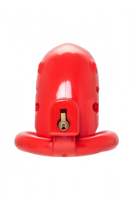 Красный мужской пояс верности из пластика - ToyFa - купить с доставкой в Твери