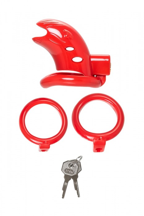 Красный мужской пояс верности из пластика - ToyFa - купить с доставкой в Твери