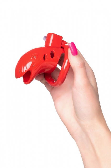 Красный мужской пояс верности из пластика - ToyFa - купить с доставкой в Твери