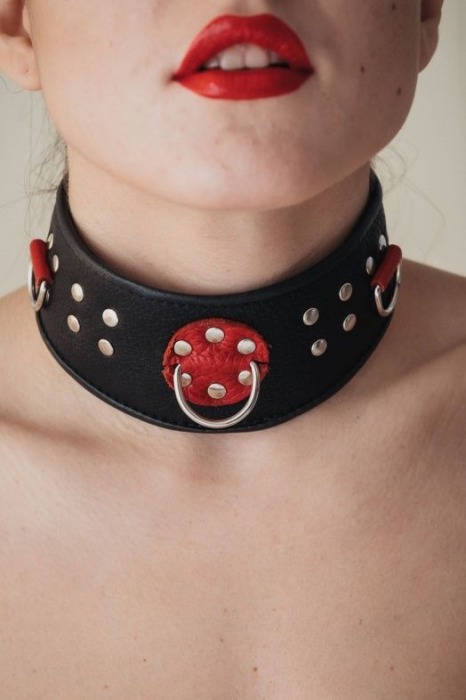 Кожаный ошейник с клепками и кольцами - БДСМ Арсенал - купить с доставкой в Твери