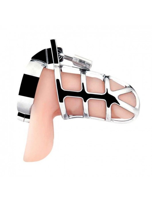 Серебристая металлическая клетка для члена с замком Enslave Cock Cage - BlueLine - купить с доставкой в Твери