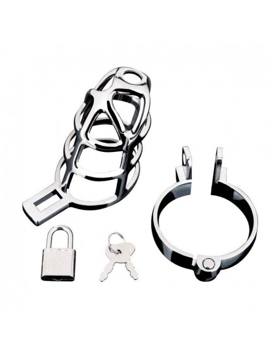 Серебристая металлическая клетка для члена с замком Enslave Cock Cage - BlueLine - купить с доставкой в Твери