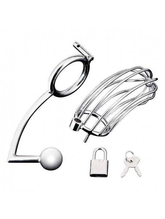 Серебристая металлическая клетка с анальным стимулятором Cock Cage - BlueLine - купить с доставкой в Твери