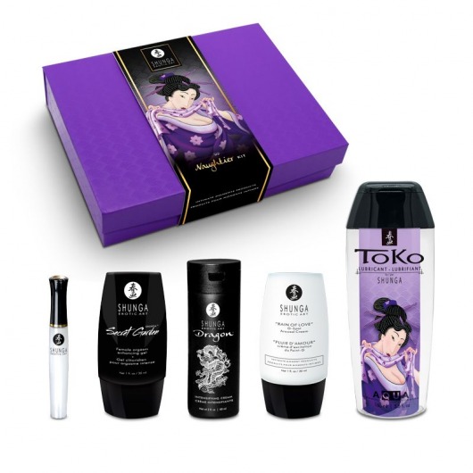 Подарочный набор Naughter Kit - Shunga - купить с доставкой в Твери