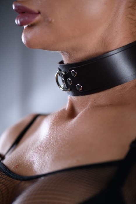 Коричневый ошейник Sex Game с поводком - БДСМ Арсенал - купить с доставкой в Твери