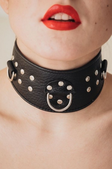 Кожаный ошейник для эротических игр - БДСМ Арсенал - купить с доставкой в Твери