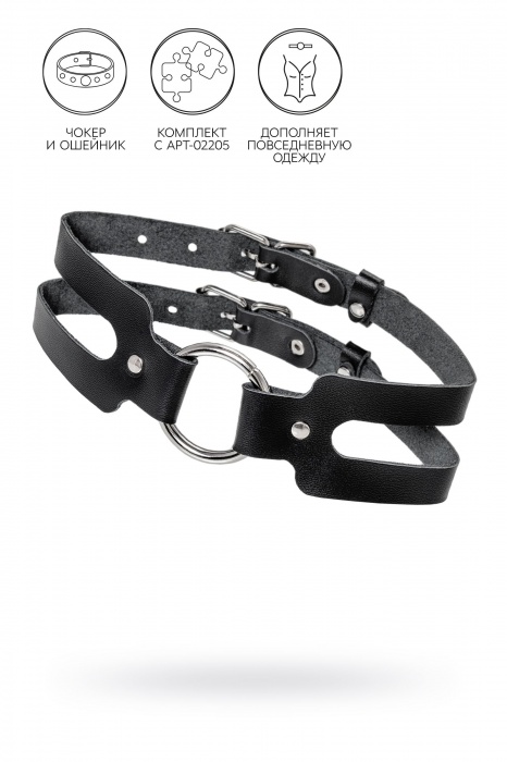 Черный кожаный чокер-ошейник из двух ремешков - Pecado - купить с доставкой в Твери
