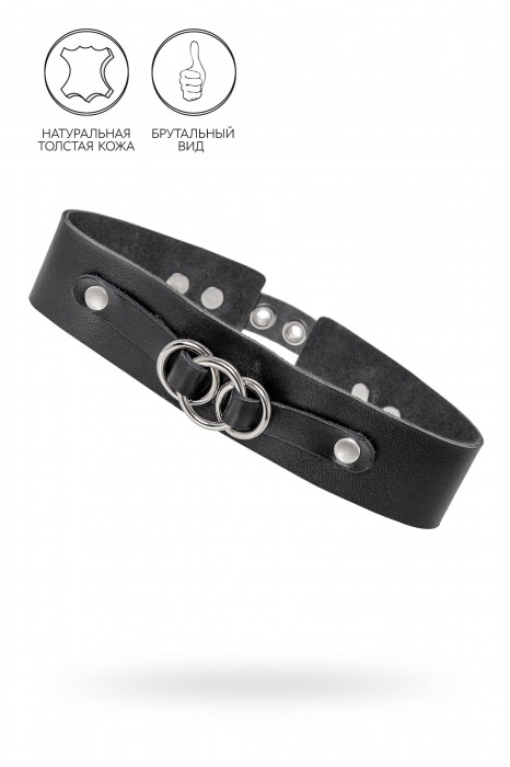 Черный чокер-ошейник со связанными кольцами на подложке - Pecado - купить с доставкой в Твери