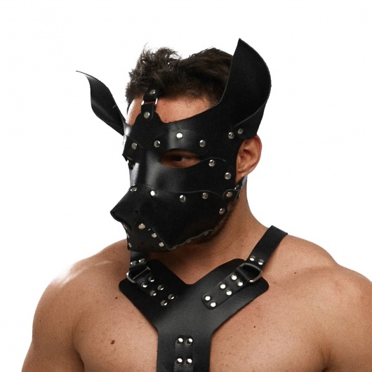 Черная кожаная маска «Собака» - Crazy Handmade - купить с доставкой в Твери