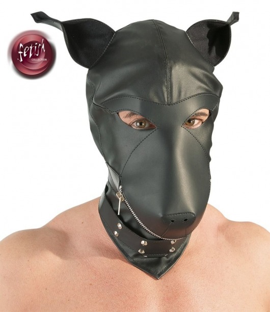Шлем-маска Dog Mask в виде морды собаки - Orion - купить с доставкой в Твери