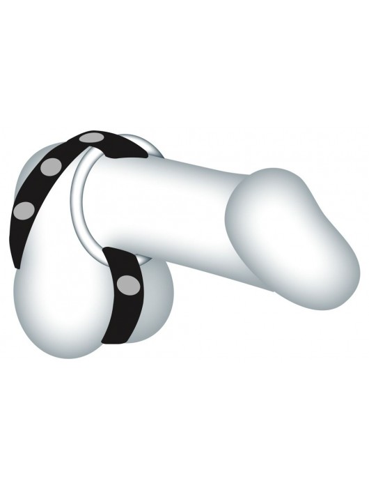 Подхват для мошонки с 3 съемными эрекционными кольцами Leder-Riemen - Orion - в Твери купить с доставкой