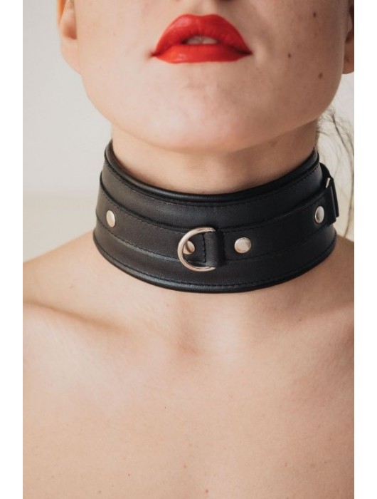 Ошейник из гладкой кожи - БДСМ Арсенал - купить с доставкой в Твери