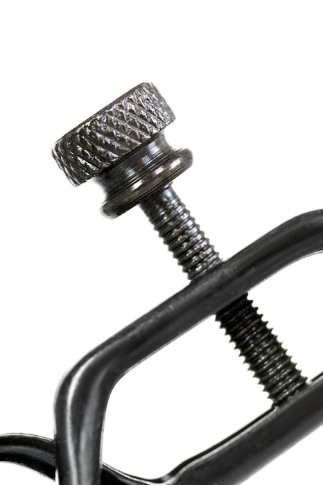 Черно-золотистые зажимы для сосков TOYFA Theatre - ToyFa - купить с доставкой в Твери