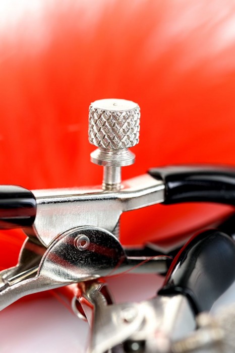 Зажимы для сосков с красным пухом Theatre - ToyFa - купить с доставкой в Твери