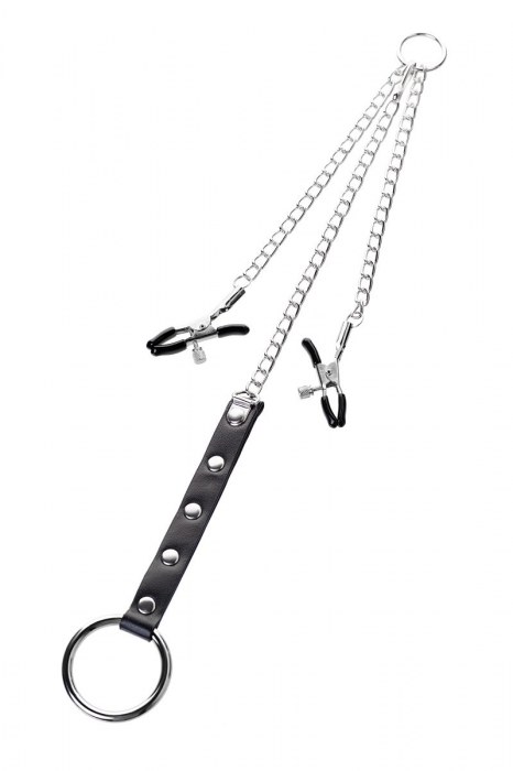 Серебристо-чёрные зажимы для сосков с кольцом для пениса TOYFA Metal - ToyFa - купить с доставкой в Твери