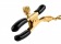 Чёрные с золотом зажимы на соски Gold Chain Nipple Clamps - Pipedream - купить с доставкой в Твери Чёрные с золотом зажимы на соски Gold Chain Nipple Clamps - Pipedream - купить с доставкой в Твери
