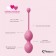 Набор из 3 розовых вагинальных шариков FemmeFit Advanced Pelvic Muscle Training Set - FeelzToys в Твери Набор из 3 розовых вагинальных шариков FemmeFit Advanced Pelvic Muscle Training Set - FeelzToys